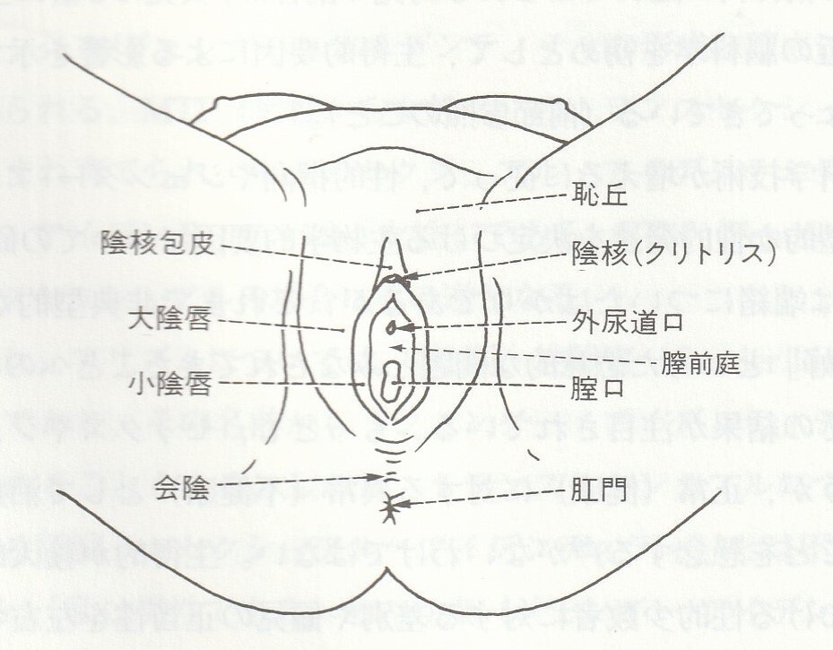 指入れは何本まで？痛くない？気持ちいいやり方のコツまで｜風じゃマガジン