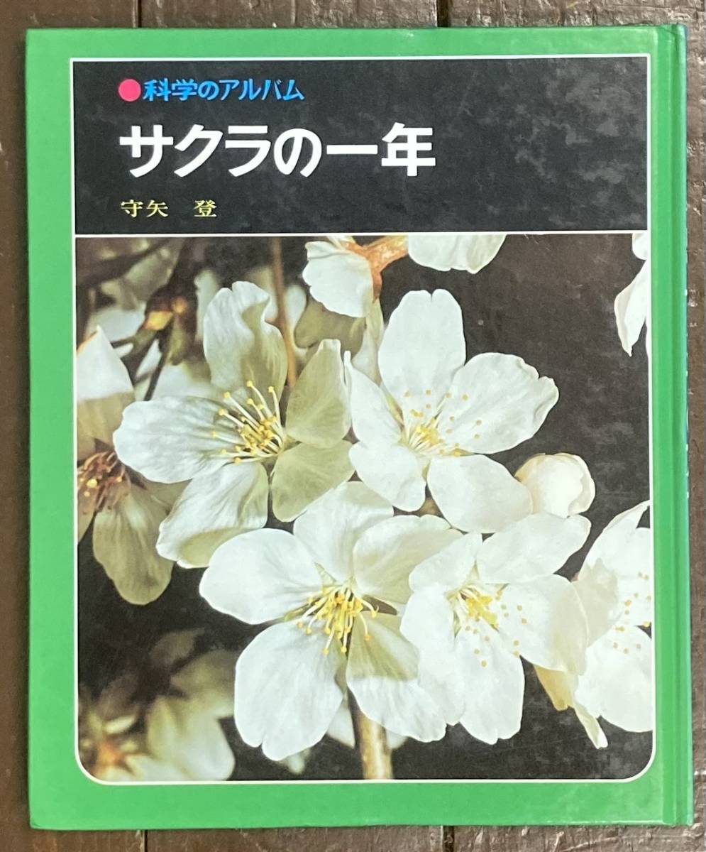 『あかね噺』バースデイ名場面ジオラマフィギュア　阿良川あかね（桜咲朱音）　ＢＥ１