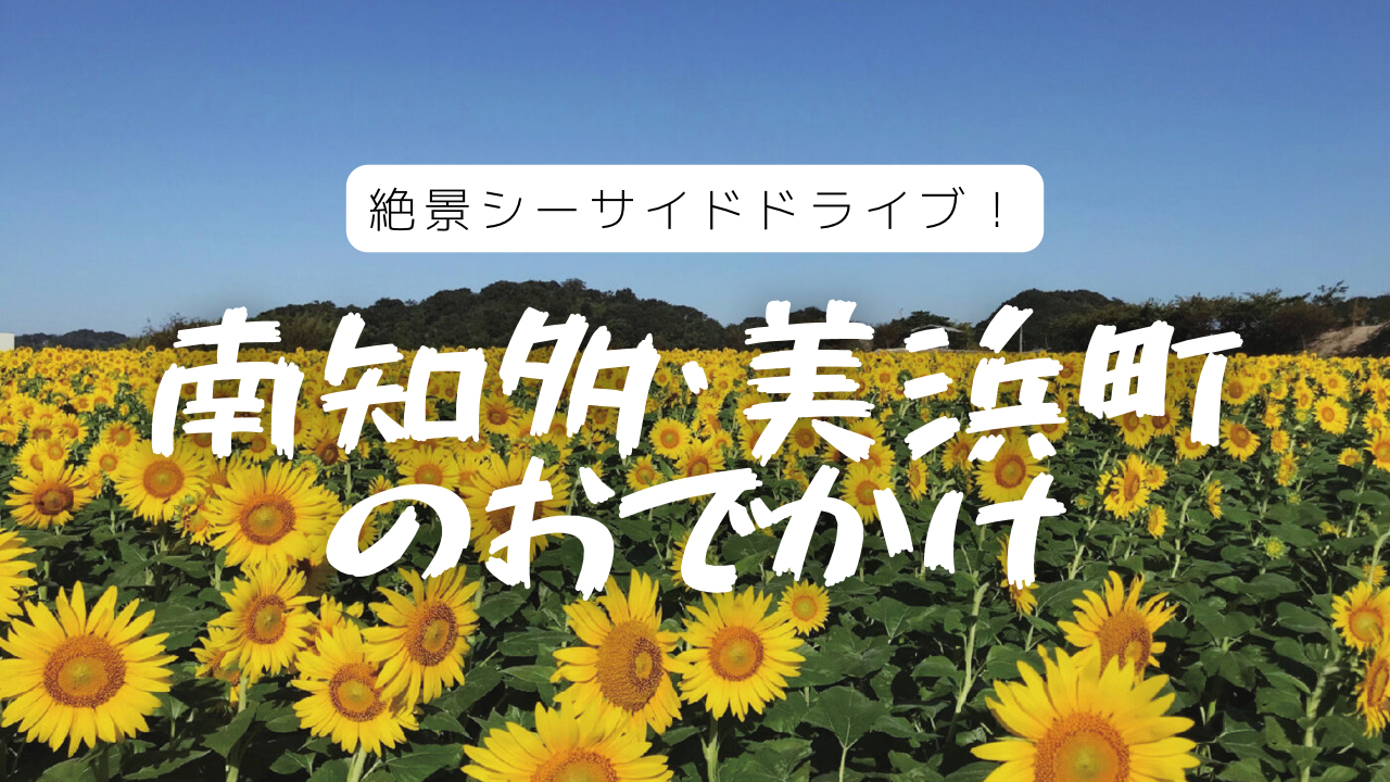 ミントハウス なきゃ 業務用 りんご糖