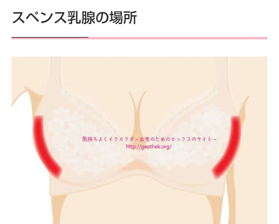 スペンス乳腺とはおっぱいのGスポットのこと！胸イキする開発方法と感じる愛撫の仕方 | Ray(レイ)