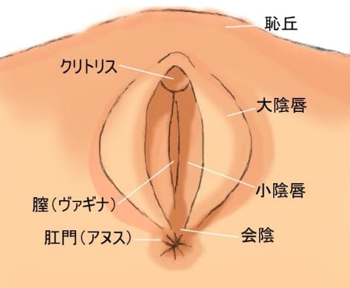 初心者向けの「手マン」でイカせるための指マンテクニックのコツ４選！ - sexprogress.com