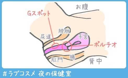 アナル開発ってどうやるの？方法と注意点を詳しく解説