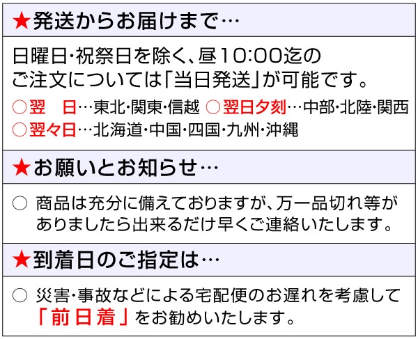 北陸地方出身美人芸能人ランキング 1位浜辺美波 | 花形CHANNEL／個人の見解