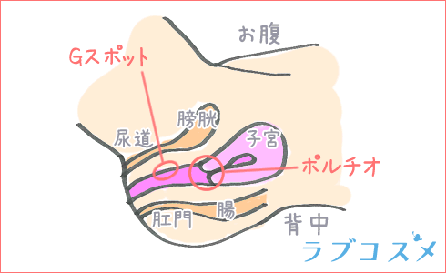 全く動けない！何？金縛り？」夜中、目を覚ましたら女上司がボクの両腕をロックして電光石火騎乗位でイキまくり！普段真面目な女上司が酔って豹変！ -  無料エロ動画 -