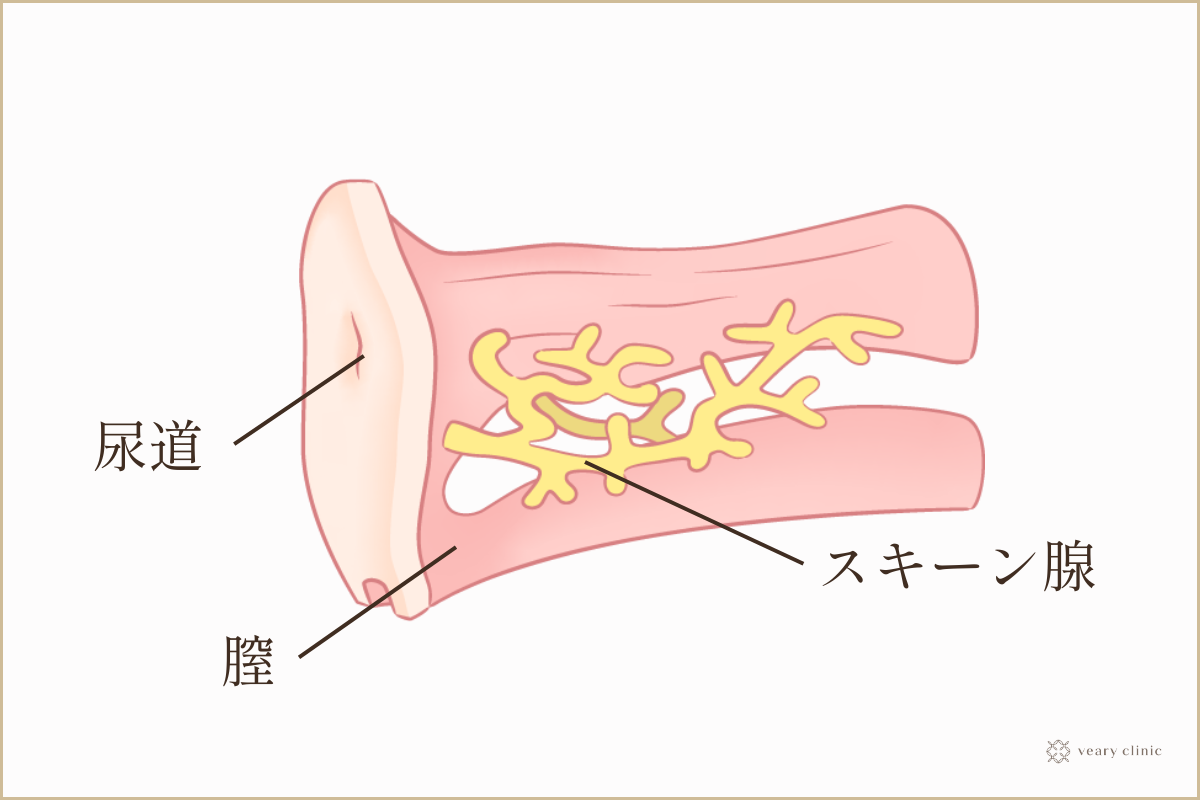 前立腺肥大症 | ～笑顔でスッキリ～ おしっこ