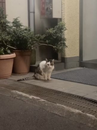 きらら | 奥鉄オクテツ東京