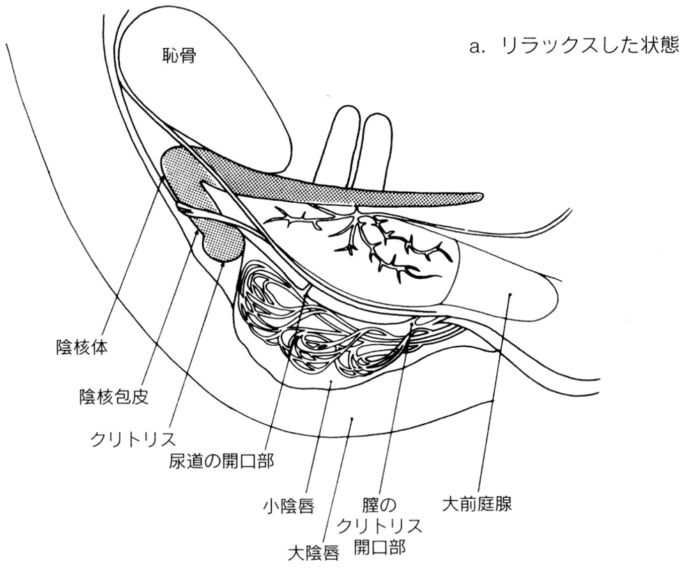 50%OFF】イケない電マの使い方 [夏恋の部屋] | DLsite 同人