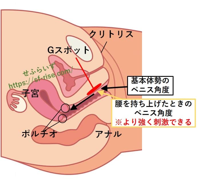 セックスの腰振りを練習したいなら、TRAINING TETRA | TENGAヘルスケア トレーニングテトラ