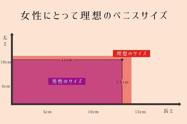 ペニスの大きさ平均は13cm！女性の理想サイズはさらにデカい！？｜薬の通販オンライン