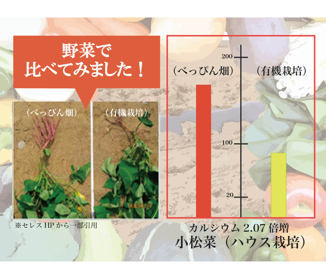 家庭菜園】石川べっぴんさん美味しさの秘密『べっぴん畑』 商品詳細 | Metrond