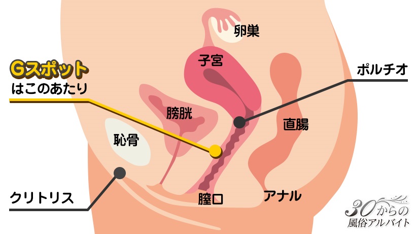 無料オーディオブック】ラブコスメ 夜の保健室 潮吹き！1人で出来るやり方【ラジオドラマ】 |