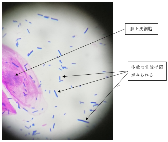 綺麗好きだった僕の彼女は悪臭漂うゴミ部屋で中年おやじに中出しされまくってボロボロに汚された 幾田まち teljes filmadatlap |