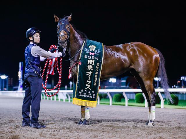 船橋競馬・クイーン賞】ライオットガール舞台替わりは問題なし！ 「あとは相手関係だけ」中村調教師巻き返しの秘策 |