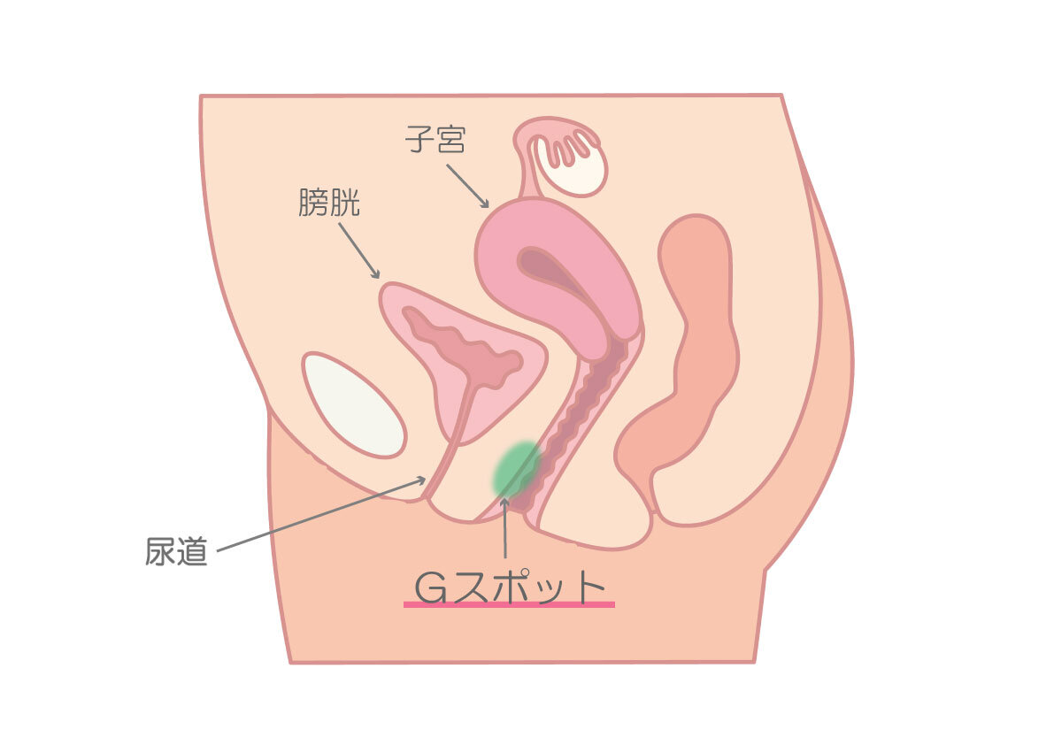 潮吹きしてみたいです。 いじめられたいし、いじめたい(´・ ・`) |