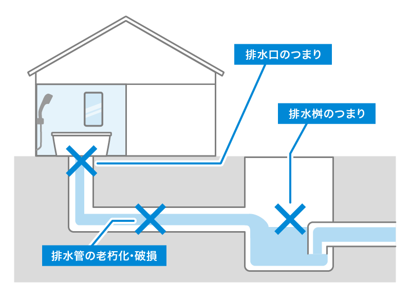 汚い写真があります。お風呂掃除してたら半透明のプニプニしたものがありまし - Yahoo!知恵袋