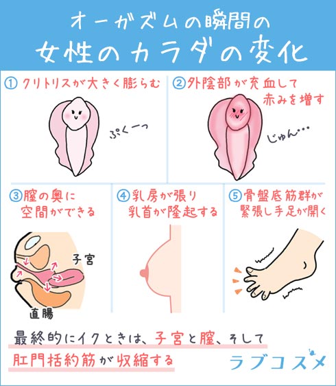 ブラジリアンワックスの作り方！ワンコインで簡単に脱毛可能 | 脱毛デレラ