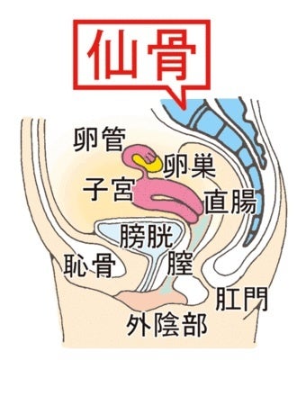 中イキ体験性感開発の今後と（最新版）中イキしやすくなる簡単な方法