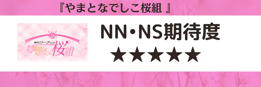 西川口ソープおすすめランキング10選。NN/NS可能な人気店の口コミ＆総額は？ | メンズエログ