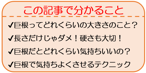 ペニスの長さ・太さサイズを一発診断！【トイレットペーパーの芯】 | セクテクサイト