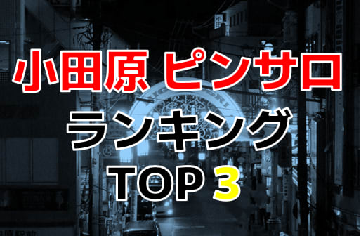 最新】小田原の風俗おすすめ店を全12店舗ご紹介！｜風俗じゃぱん