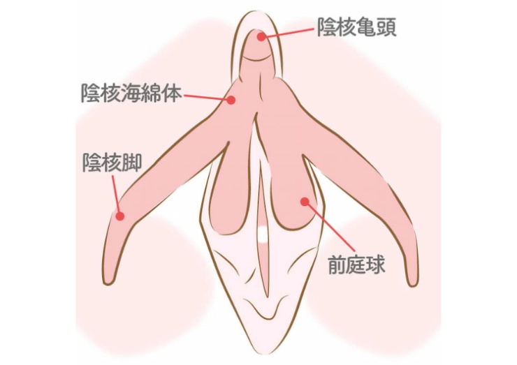 クリオナ（クリトリスオナニー）とは？ 気持ちいいやり方・グッズを紹介 |