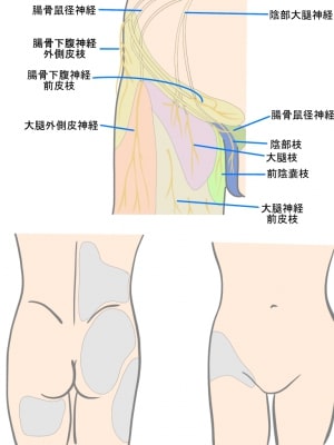 目を大きくするマッサージで得られる効果と注意点を解説｜金沢の美容外科・美容整形はeクリニック