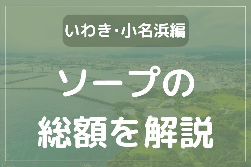 ニュー山水｜名古屋 金山,尾頭橋 激安ソープ｜夜遊びガイド名古屋版