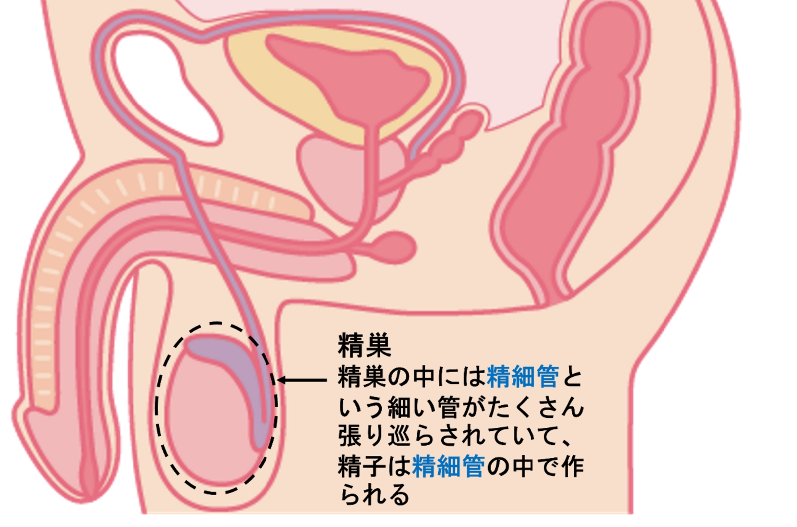 味わい深い読み切り。「オナ禁エスパー」｜よしよし