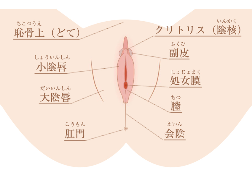 Amazon | 【超絶手マン神技+クリ責め+遠隔潮吹き】バイブ