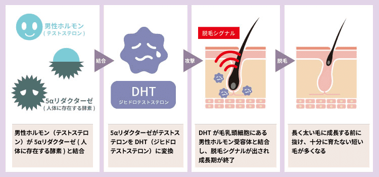 オナニーは1日に何度やっても大丈夫！」専門家が断言。危険なあの方法には「イケなくなる」と警鐘