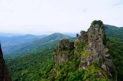 和歌山のデリヘル・風俗情報