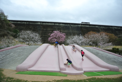 三波川の桜山で冬桜を見て、みかん狩りして、休日を過ごしました… - 猫のキキとヒゲおじさんのあんじゃあない毎日