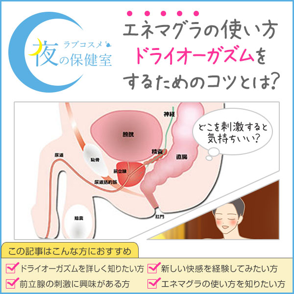 前立腺がんの病態、検査 | いまもと泌尿器科クリニック