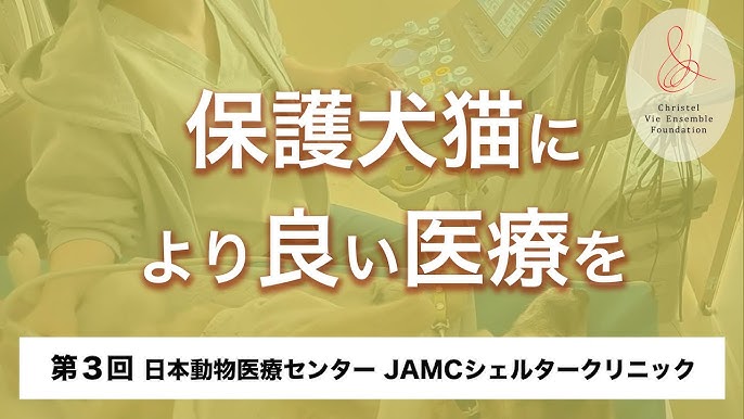 まりも動物病院の採用情報｜求人ボックス