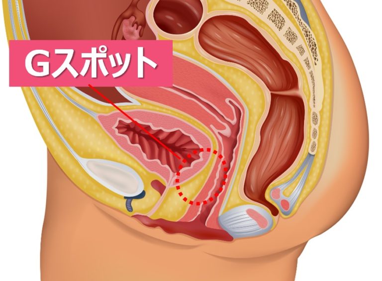 女性の潮吹きのやり方！コツと練習方法 - 夜の保健室