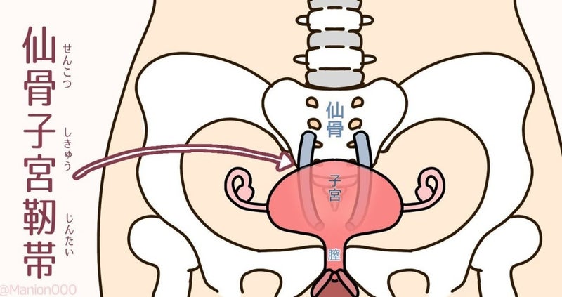 骨盤臓器脱 ―シニア女性の生活の質を下げる子宮脱、膀胱瘤、直腸瘤―｜京都済生会病院