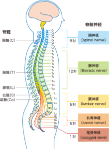 田淵 正浩 on