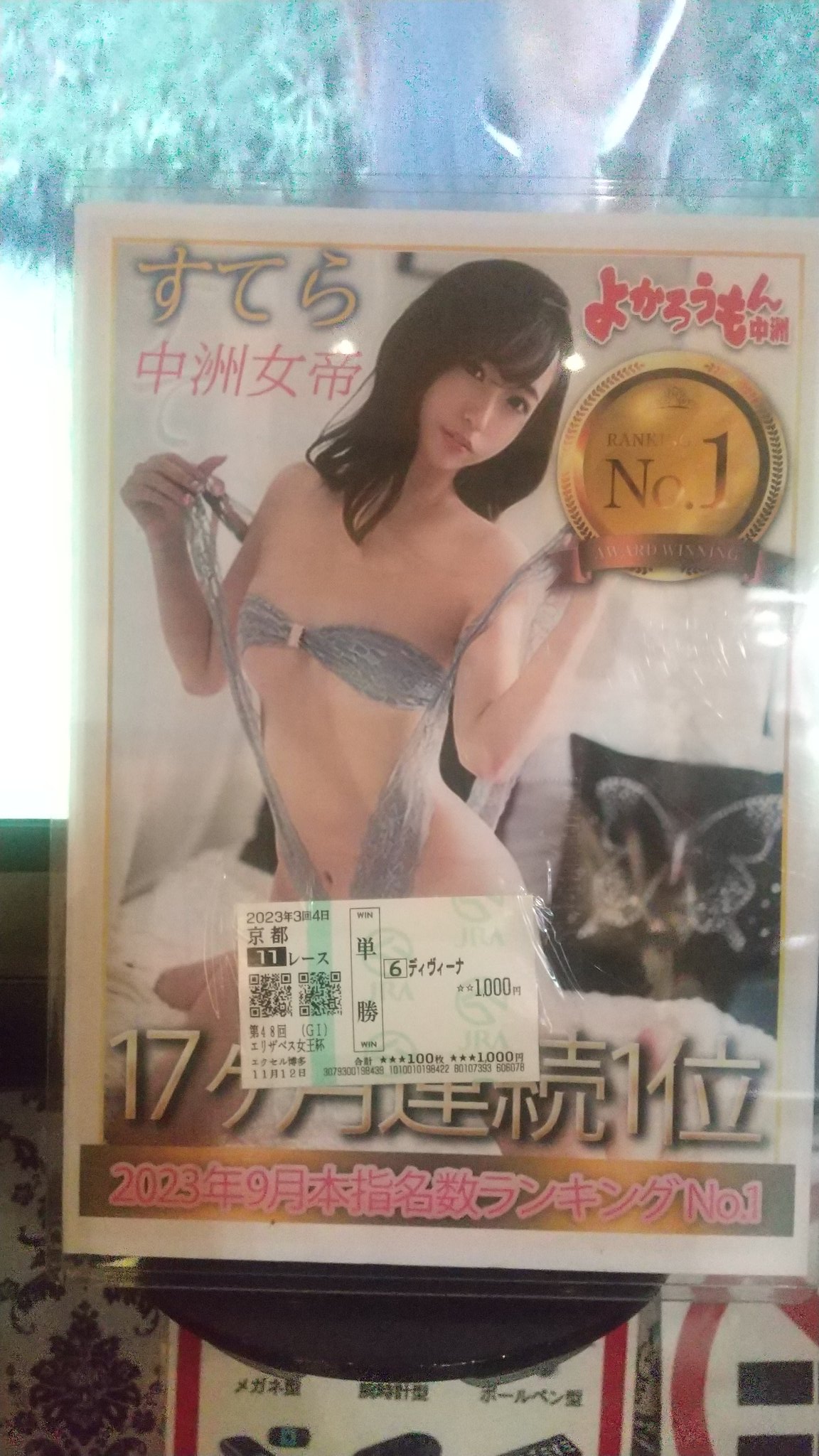 Ｍ専門誌～厳冬期（5）～ＤＶＤ女王様バイブル② : M男ぶちのblog