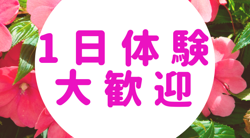 金津園ソープおすすめランキング10選。NN/NS可能な人気店の口コミ＆総額は？ | メンズエログ