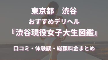 おすすめ】紀伊田辺のAFデリヘル店をご紹介！｜デリヘルじゃぱん