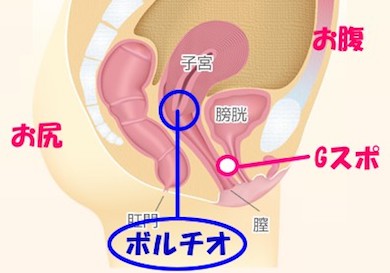 Gスポットがない」「どこにあるのか場所がわからない」感じる位置の探し方 | 【きもイク】気持ちよくイクカラダ