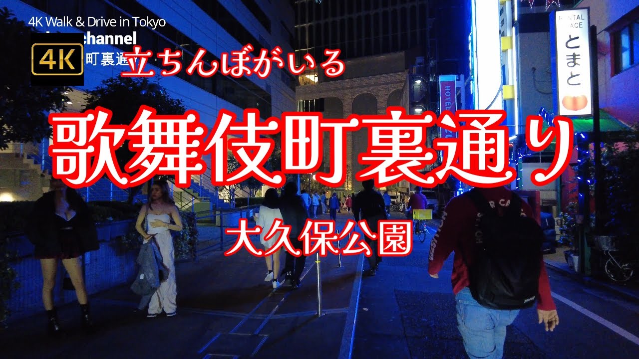 【大久保公園】立ちんぼ女子に「なんでこんなことやってるの?」と聞いてみたw【ラファエル】