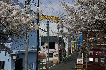 土浦市のデリヘル、ほぼ全ての店を掲載！｜口コミ風俗情報局