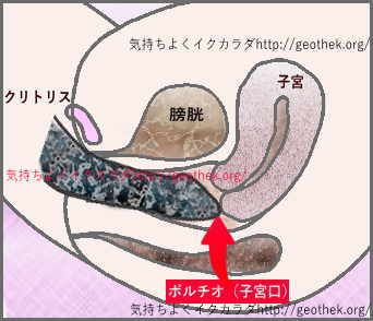 廃番 ポルチオキッス～着床だも～ん～ /