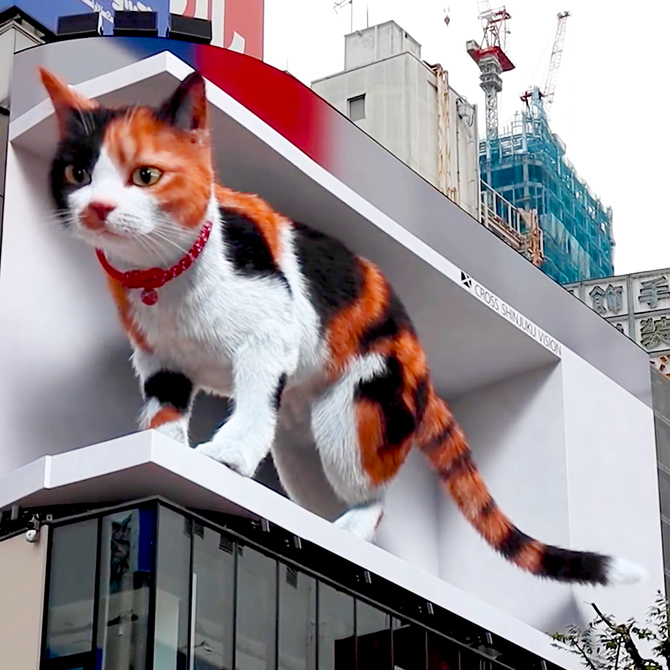 渋谷駅と新宿駅にキュートで巨大な3D秋田犬＆三毛猫が出現／東京の観光公式サイトGO TOKYO