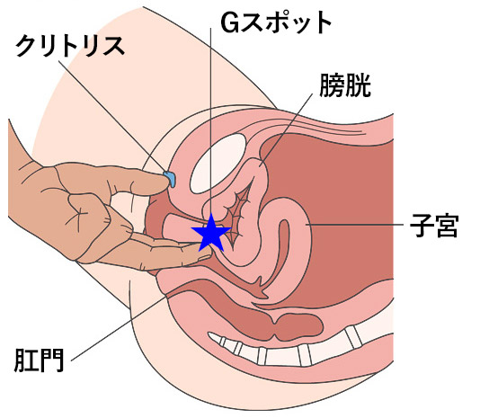 女性の潮吹きのやり方やコツって？一人での練習方法と絶頂できるテクニックをご紹介 | Ray(レイ)