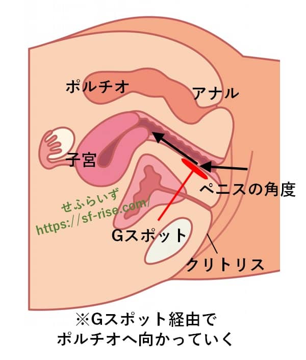 後背位（バック）の99%が出来ていないSEXテクニック【完全図解版】 | セクテクサイト