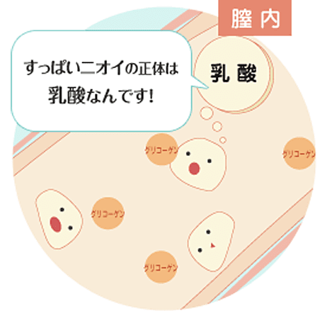 クンニってどんな味？200人にクンニした男が解説！マン汁（愛液）の味は人それぞれ | オトナのハウコレ