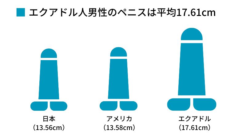 ペニスの大きさ平均は13cm！女性の理想サイズはさらにデカい！？｜薬の通販オンライン