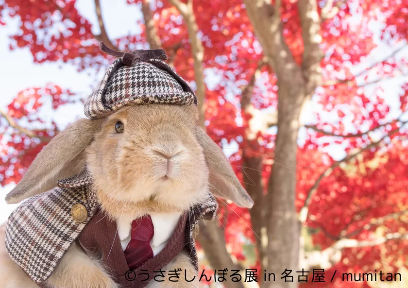 着物さと 正絹 名古屋帯